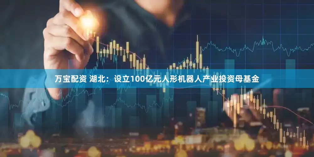 万宝配资 湖北：设立100亿元人形机器人产业投资母基金