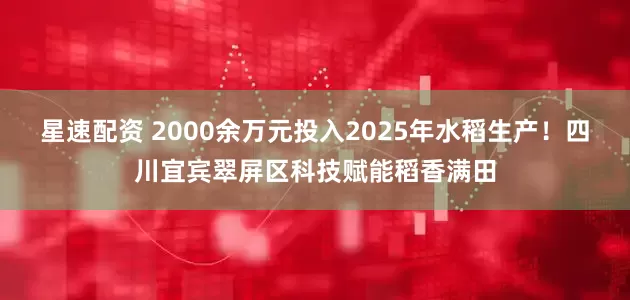 星速配资 2000余万元投入2025年水稻生产！四川宜宾翠屏区科技赋能稻香满田